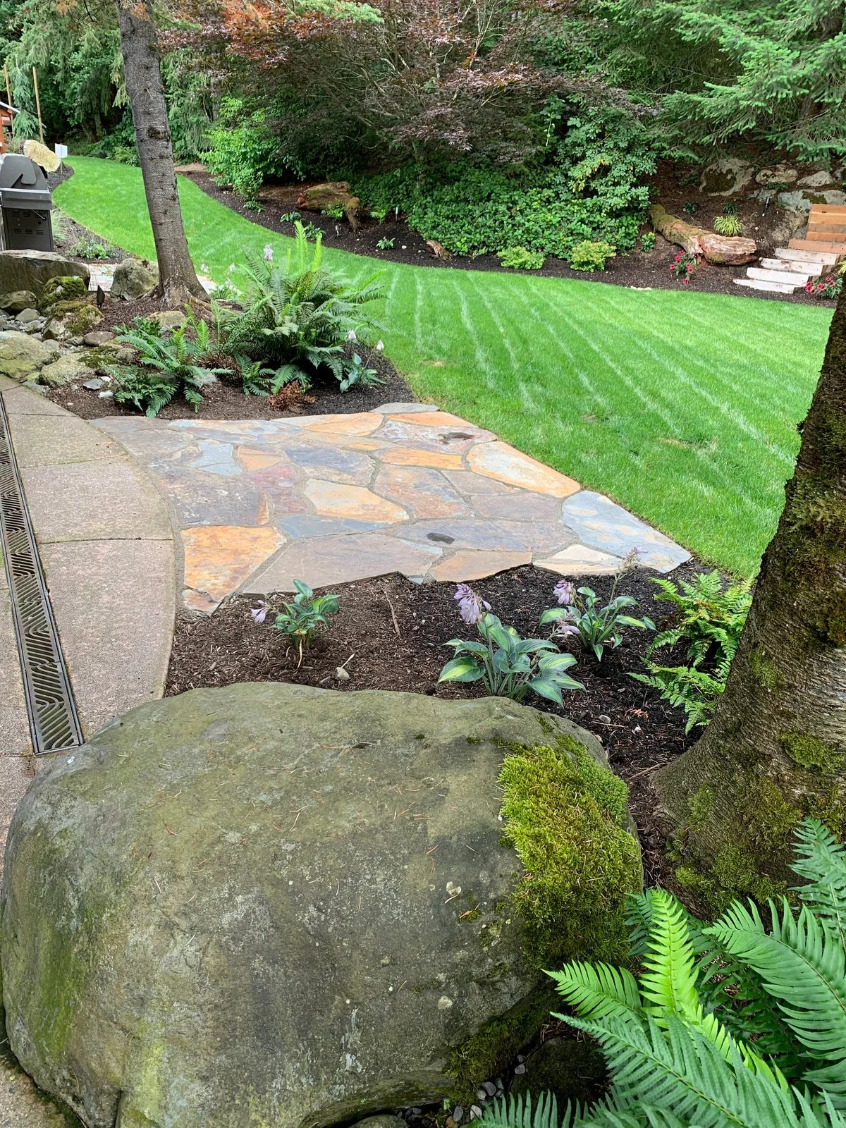 A stone terrace and bench nestled into the shaded garden.
