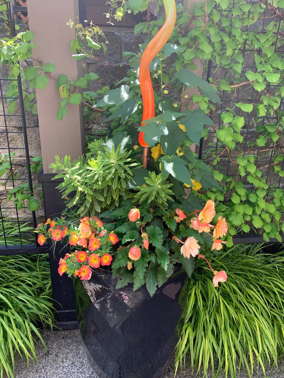 Textured foliage and orange flowers in a garden container.