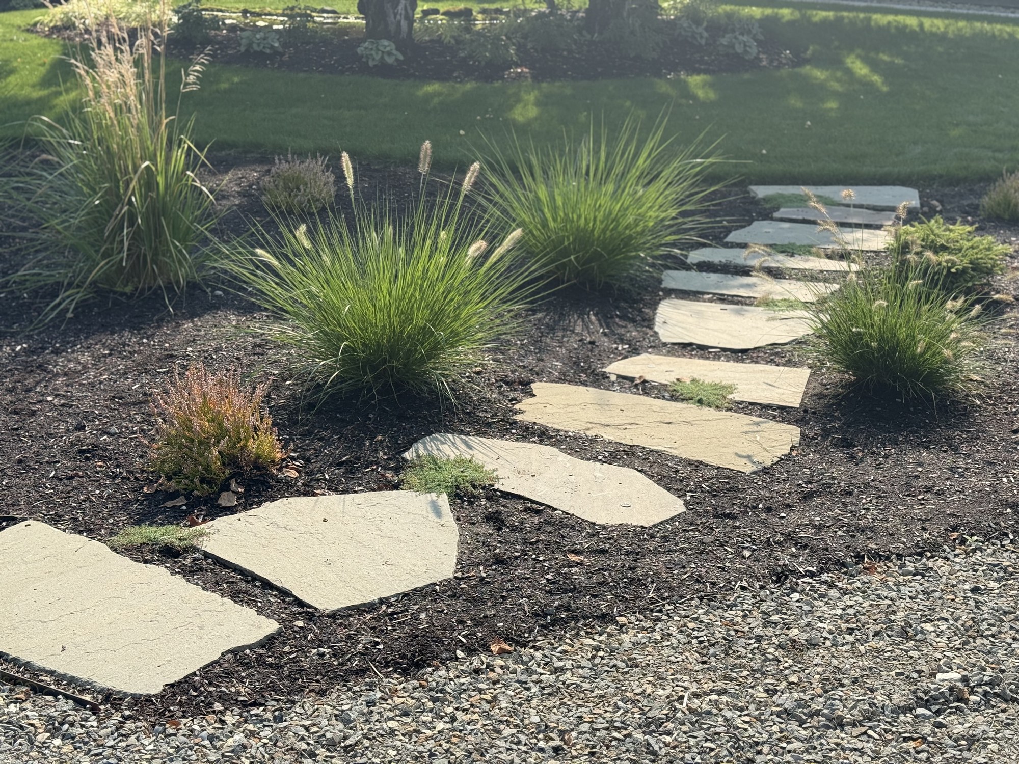 Natural stone stepping stones curve between ornamental grasses toward the lawn.