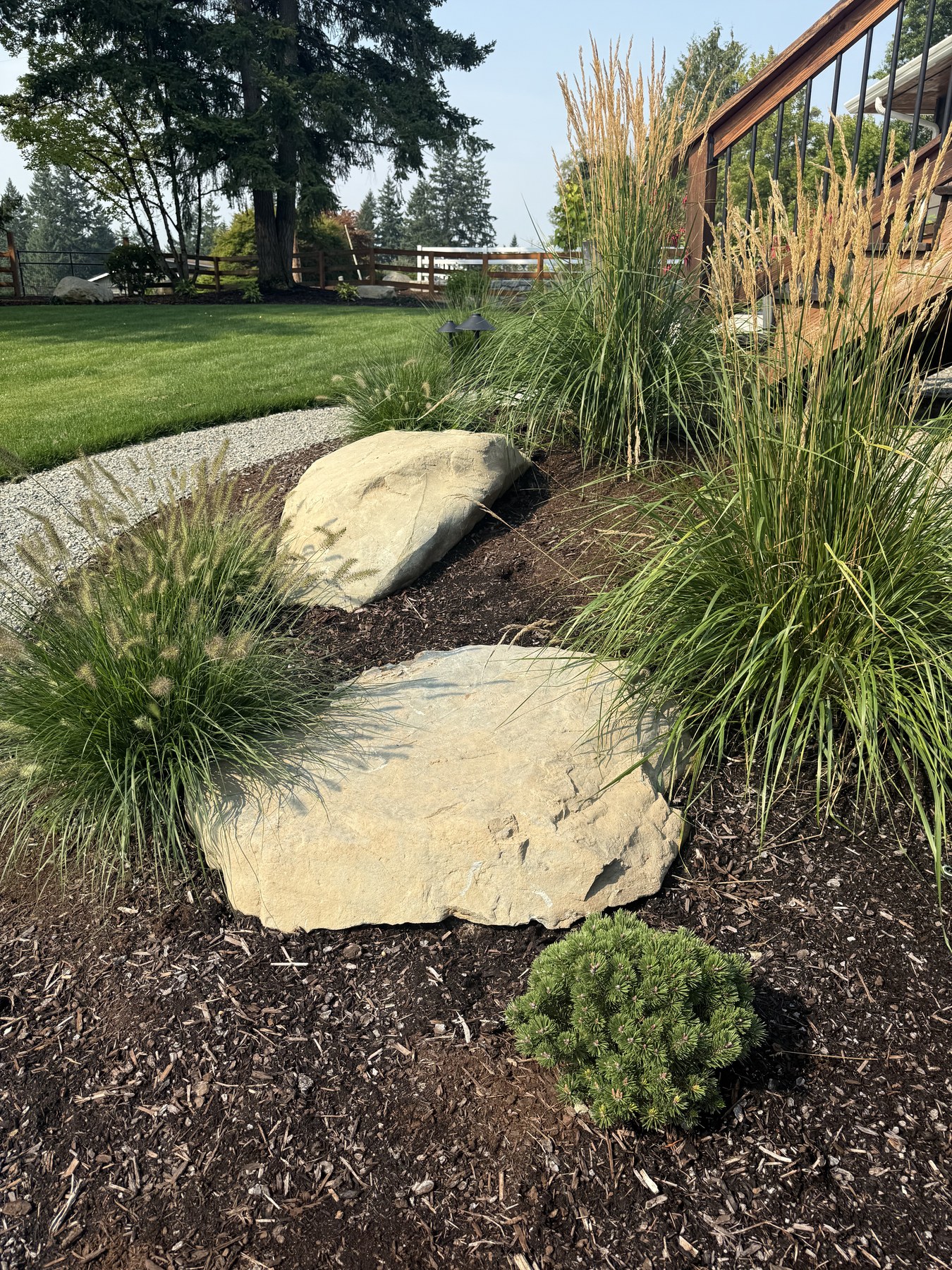 Broad natural boulders sit among soft grasses and tall golden seed heads beside the deck.